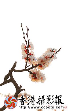 8_副本.jpg