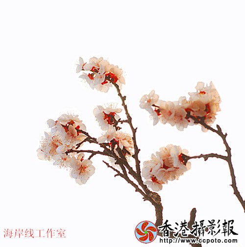 9_副本.jpg