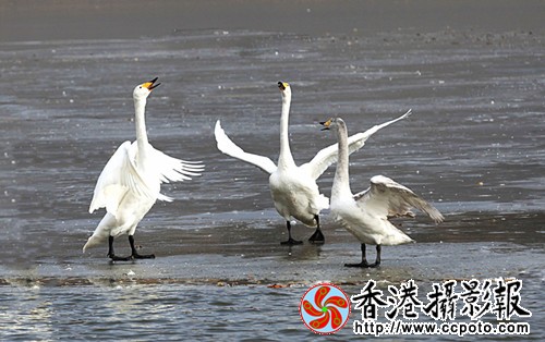 IMG_1669_副本.jpg