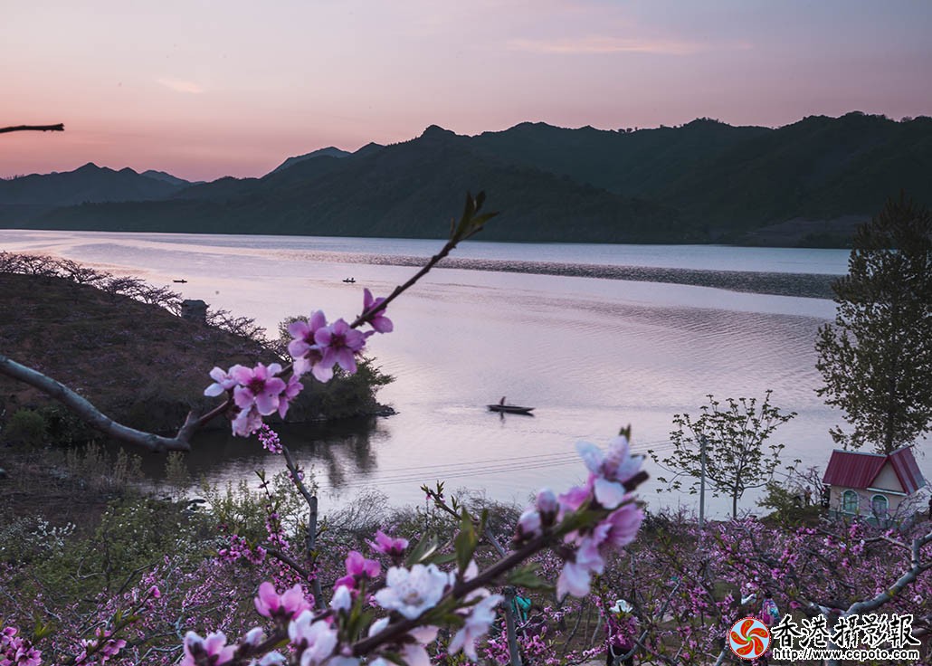 _MG_8840桃花一笑霞满天.jpg