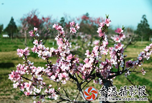 IMG_0167_副本.jpg