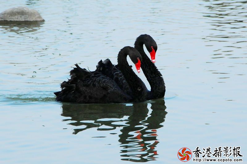 形影不离