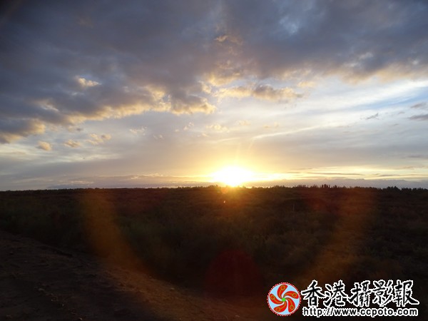 DSC07737_副本_600.jpg