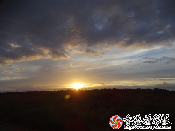 DSC07736_副本600.jpg