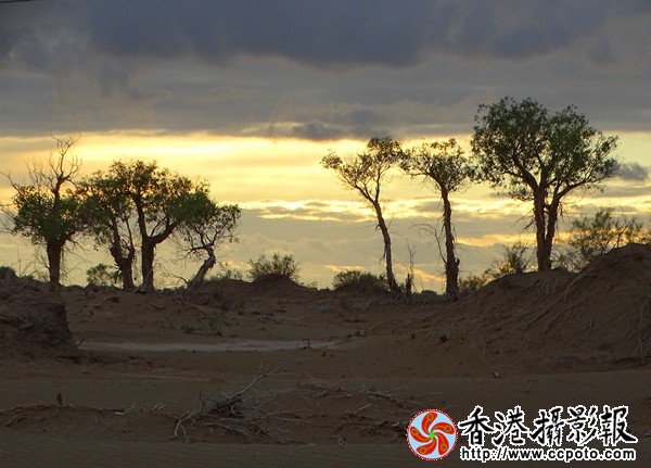 DSC07631_副本600.jpg