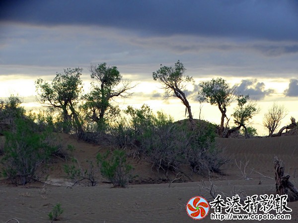 DSC07633_副本600.jpg