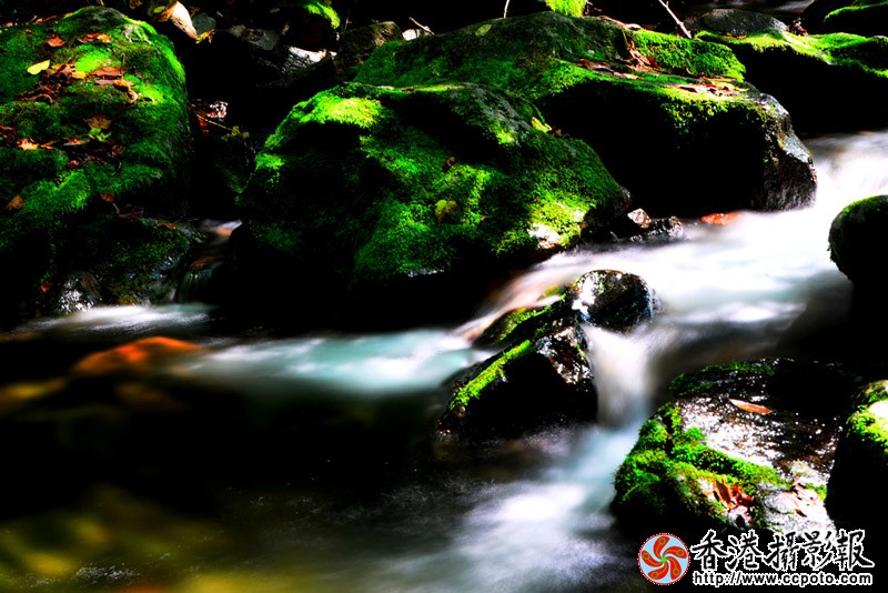DSC双龙潭_5557副本.jpg