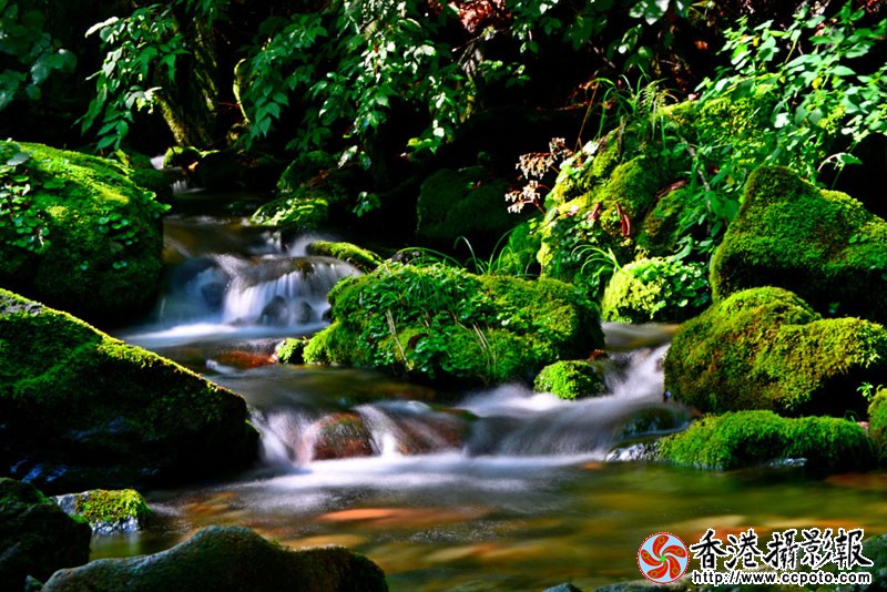 DSC碧水绿石_5514副本.jpg