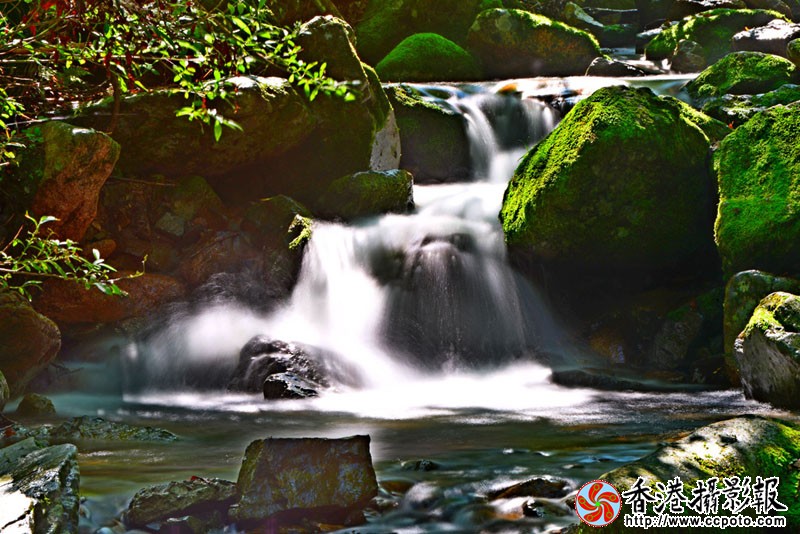 DSC碧水绿石_5518副本.jpg