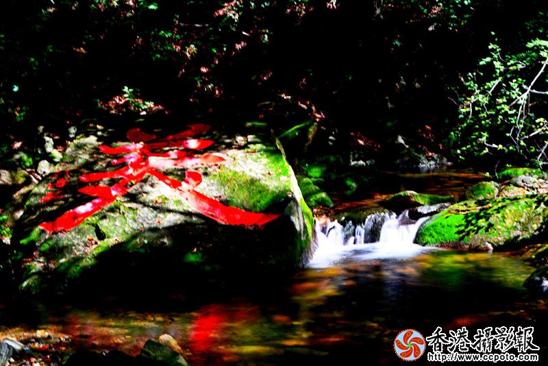 DSC小溪——美_5574副本.jpg