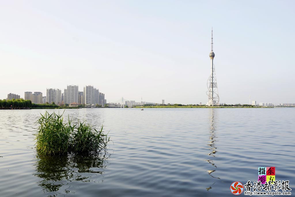 沂河随拍2..jpg