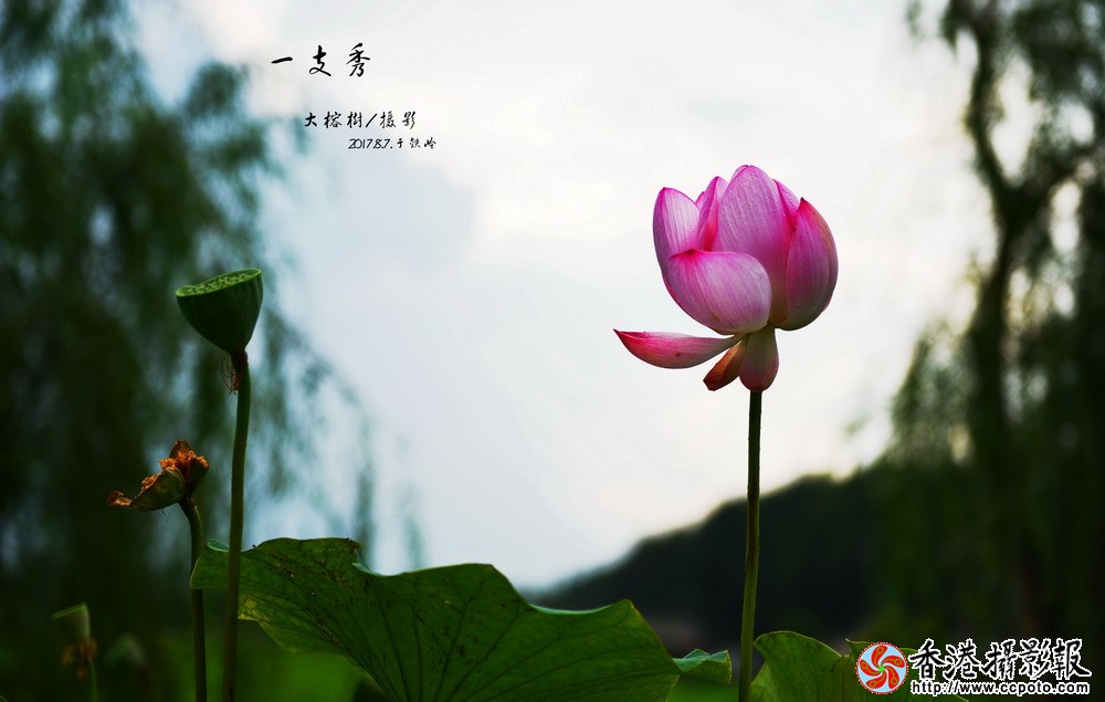 DSC_0512.JPGzhiA.jpgA_调整大小.jpg