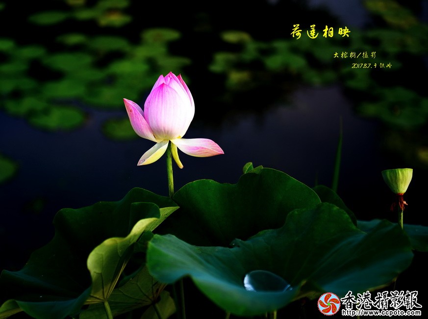 DSC_0536.JPGA.jpgA_调整大小.jpg