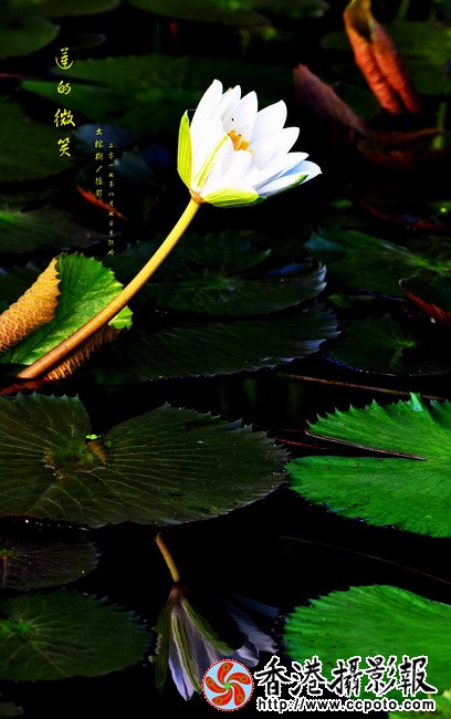 DSC_5680.JPGA.jpgA_调整大小.jpg