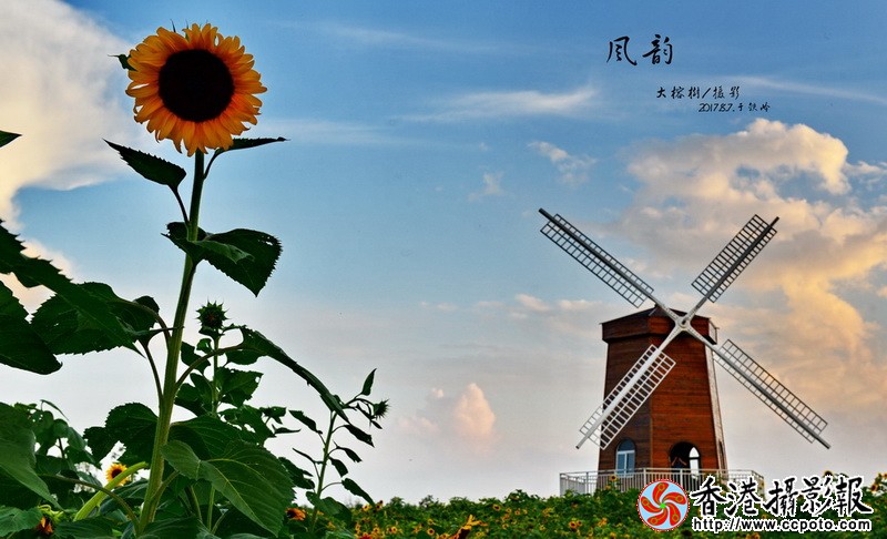 DSC_0545.JPGA.jpgA_调整大小.jpg800.jpg